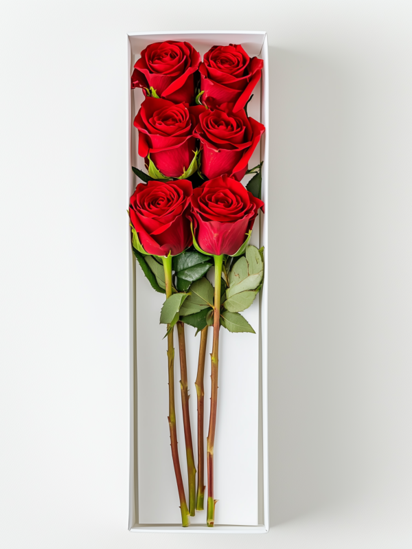 Elegante caja con 6 rosas frescas, ideal para regalar en cualquier ocasión especial