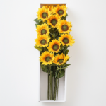 Caja premium con 12 girasoles radiantes, un detalle perfecto para iluminar cualquier momento especial con alegría y calidez.