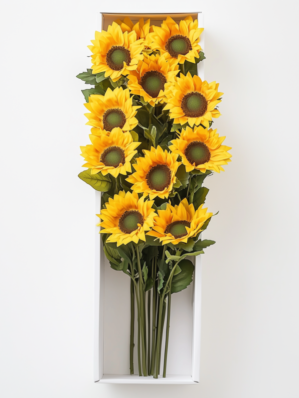 Caja premium con 12 girasoles radiantes, un detalle perfecto para iluminar cualquier momento especial con alegría y calidez.
