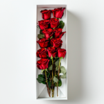 Caja premium con 12 rosas frescas, un detalle ideal para sorprender con amor