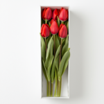 Un delicado conjunto de 6 tulipanes hermosos, cuidadosamente escogidos y presentados en una caja elegante. Un detalle ideal para sorprender con ternura, gratitud o cariño.